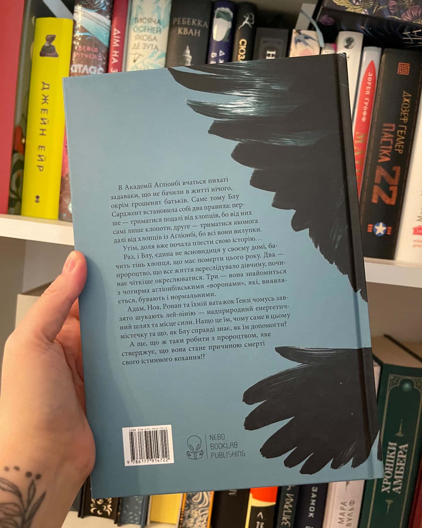 Ворони-Меггі Стівотер