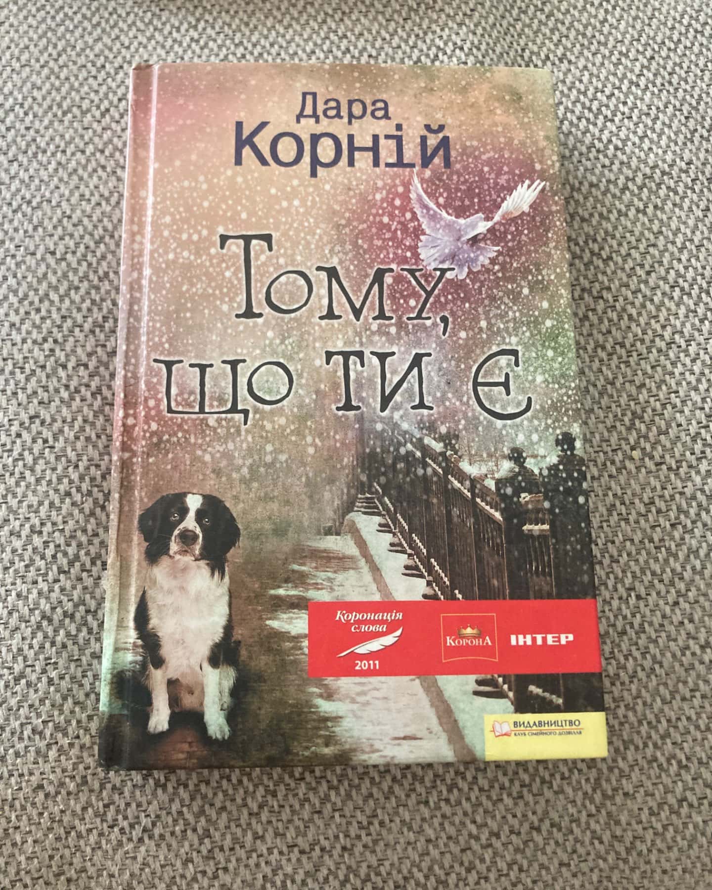 Тому що ти є-Дара Корній