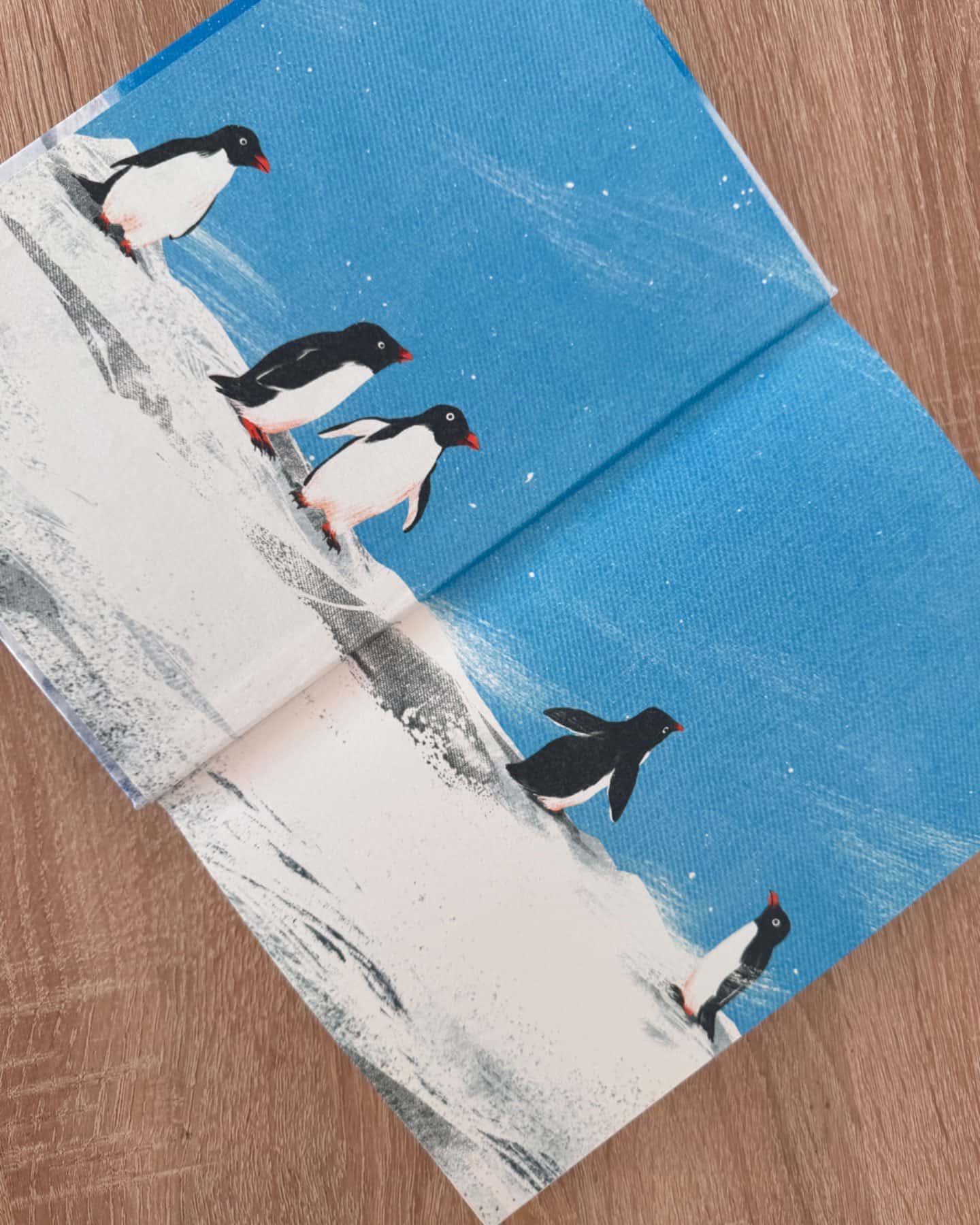 Туди, де пінгвіни-Гейзел Прайор