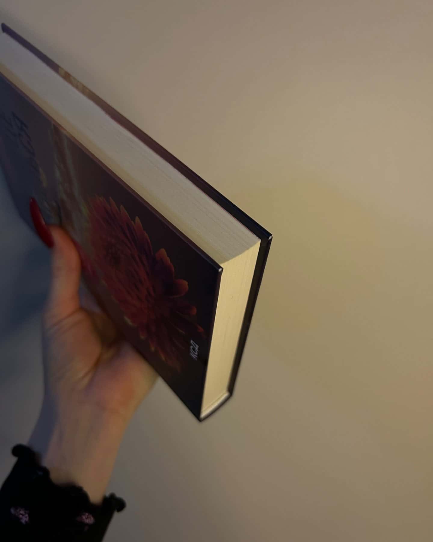 Якщо це станеться-Ребекка Яррос