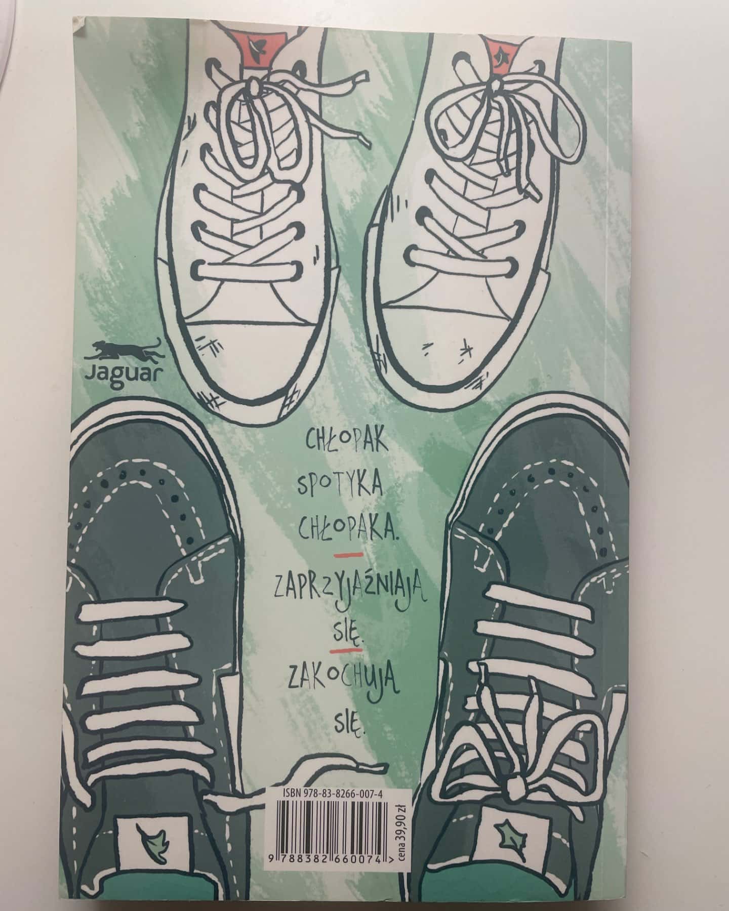 Chłopak spotyka chłopaka-Alice Oseman