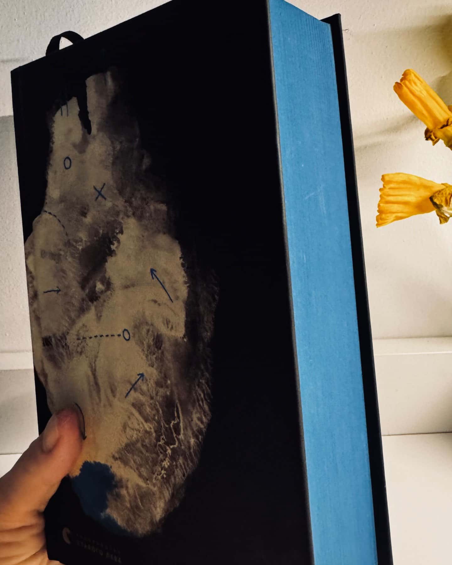 Книга Еміля-Ілларіон Павлюк