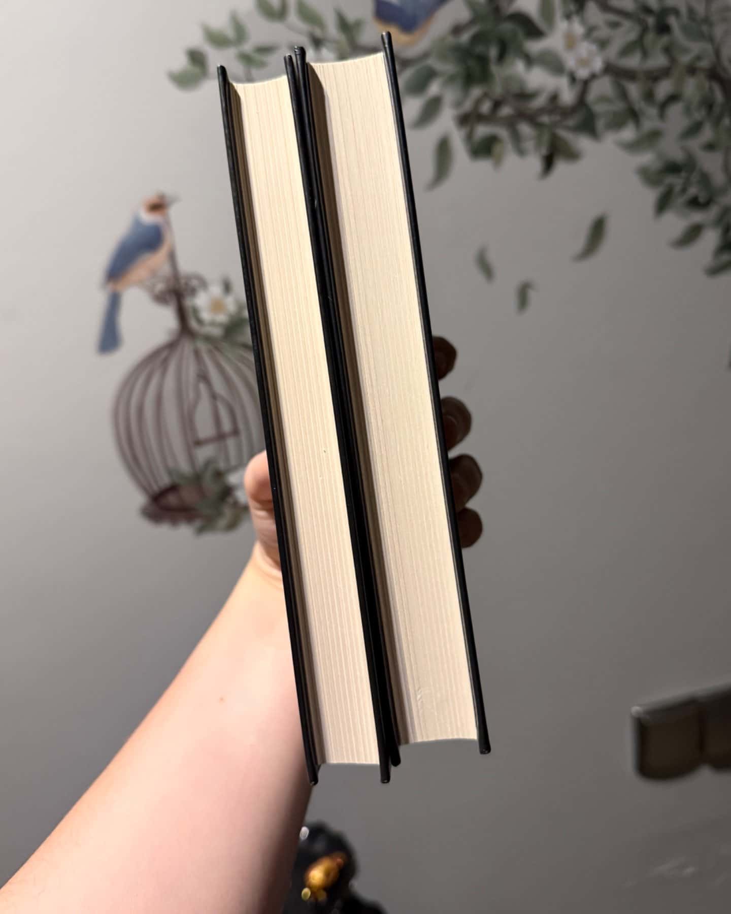 Священник. Книга 1, Грішник. Книга 2-Сьєрра Сімоне