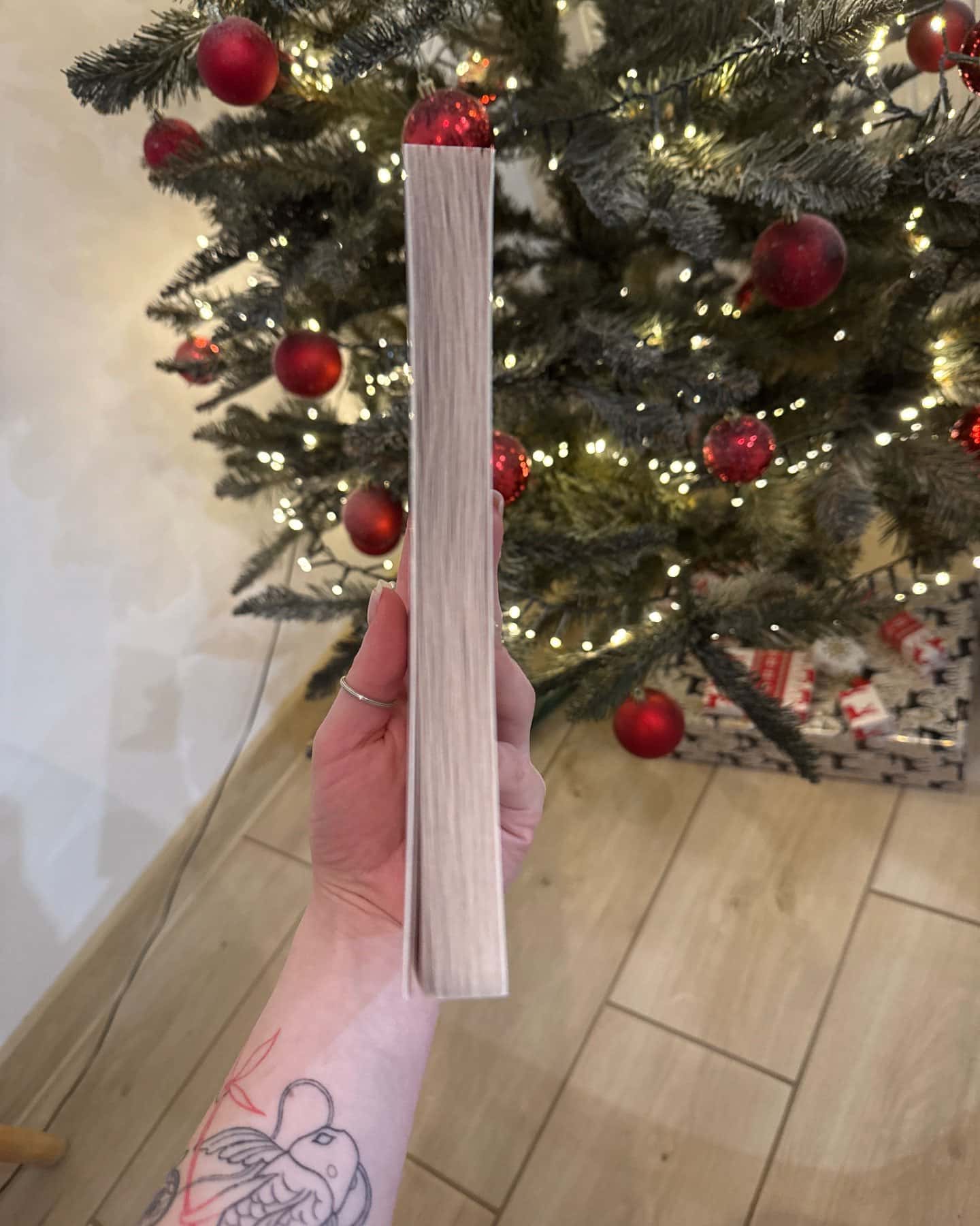 the vegetarian-han kang