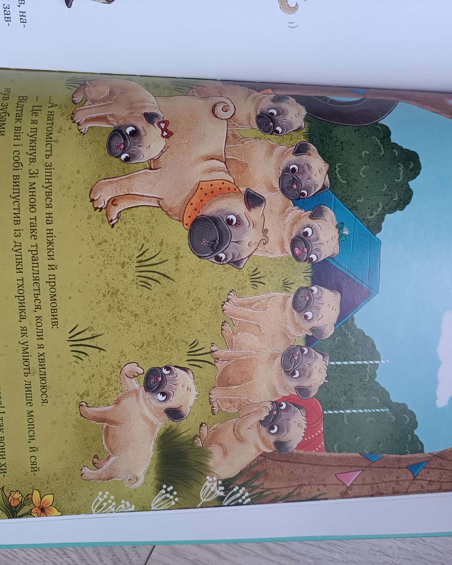 Усміхнися, Бурмопсику!-Люсі Астнер, Александров Гельм