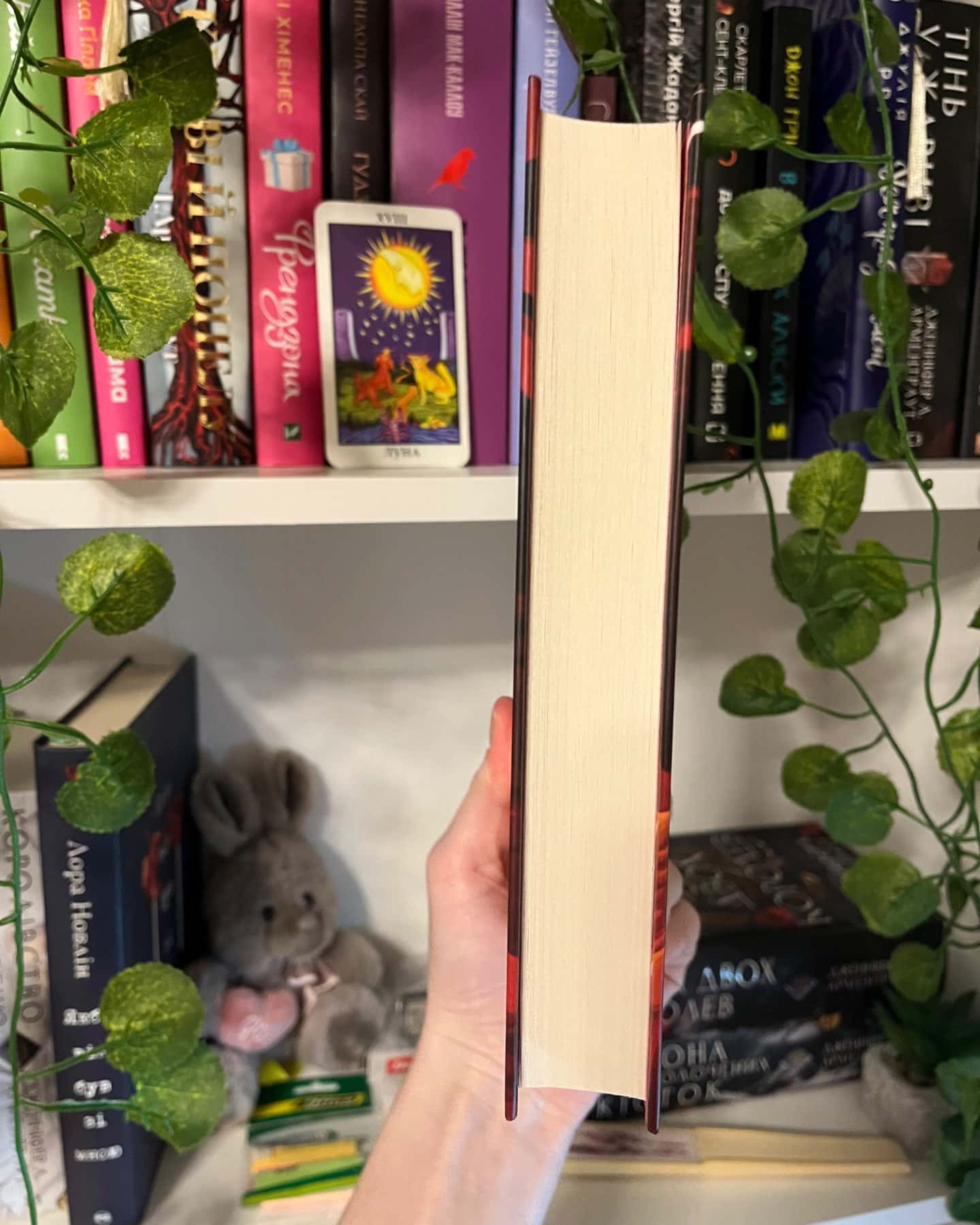 Залізна Вдова-Сіжань Джей Джао