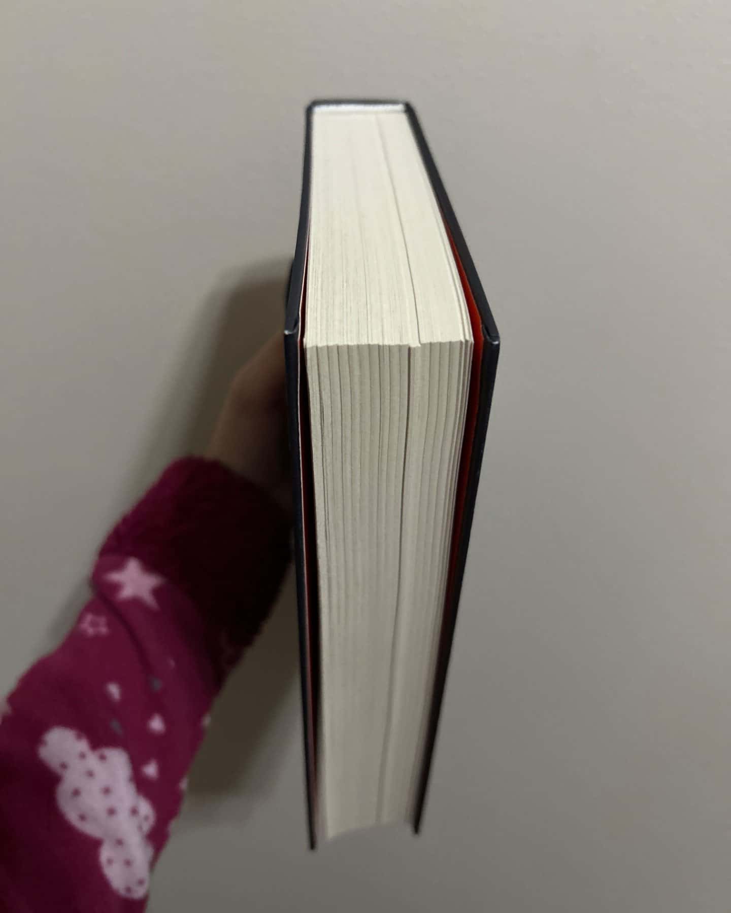 Відьми з Варде-Аня Бергман