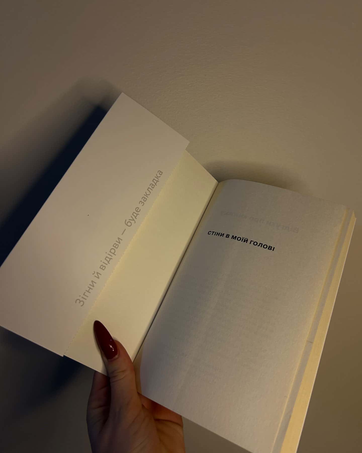 Стіни в моїй голові. Жити з тривожністю і депресією-Володимир Станчишин