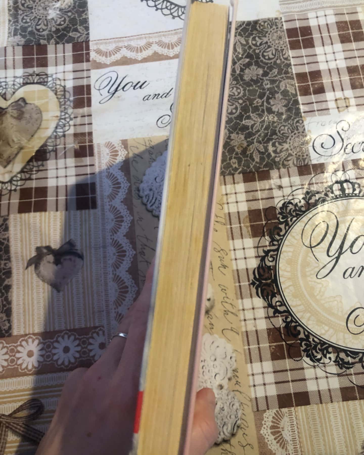 Сафарі на щастя-Світлана Талан