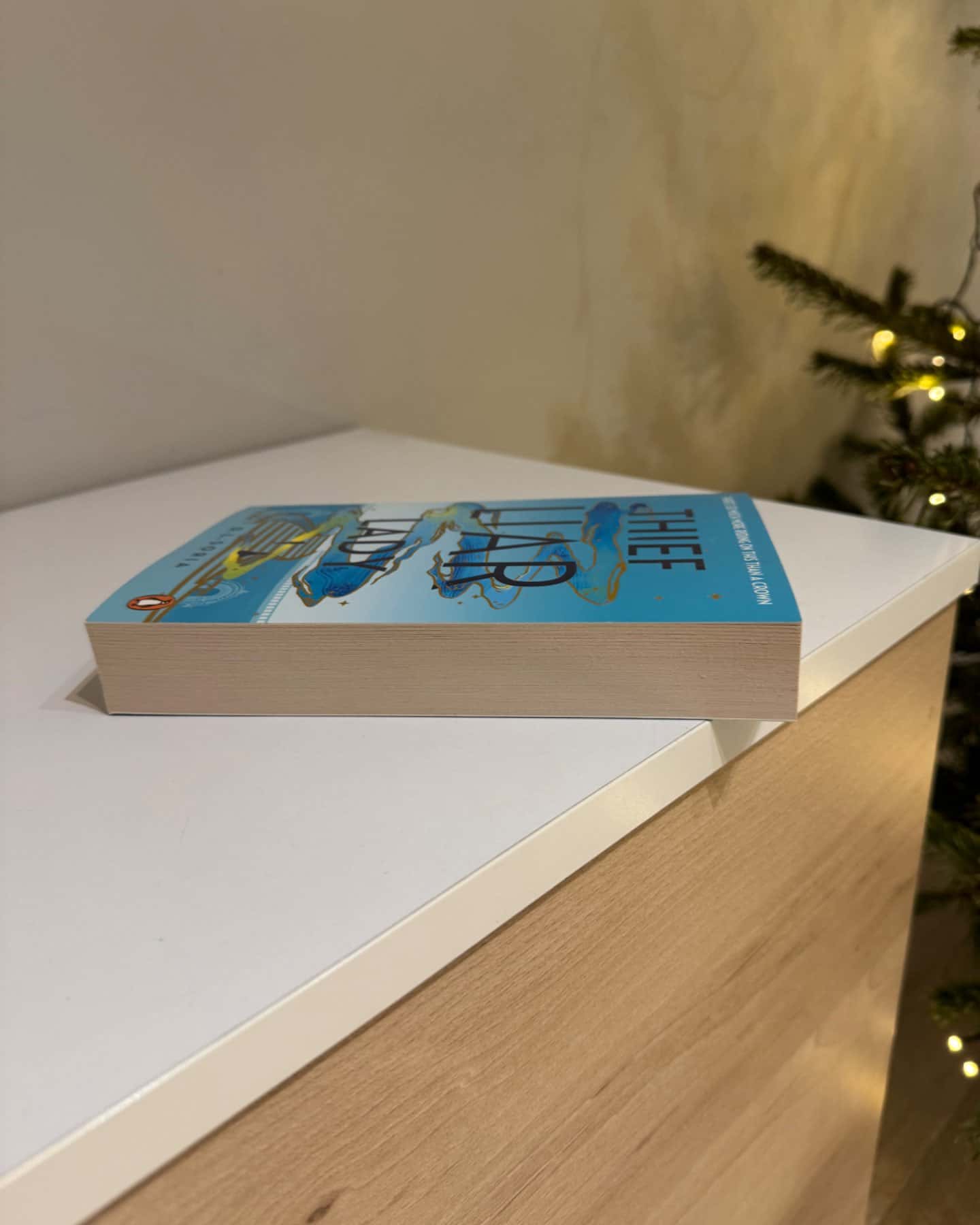 Thief liar lady-D.L. Soria