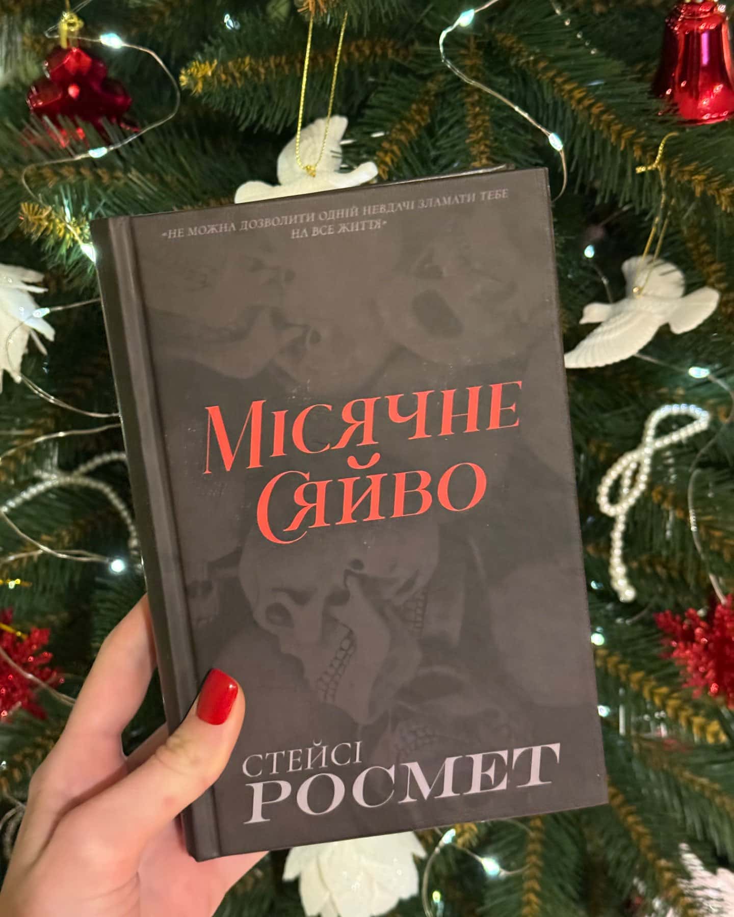 Місячне сяйво, Кривавий Снігопад 2 книги-Стейсі Росмет