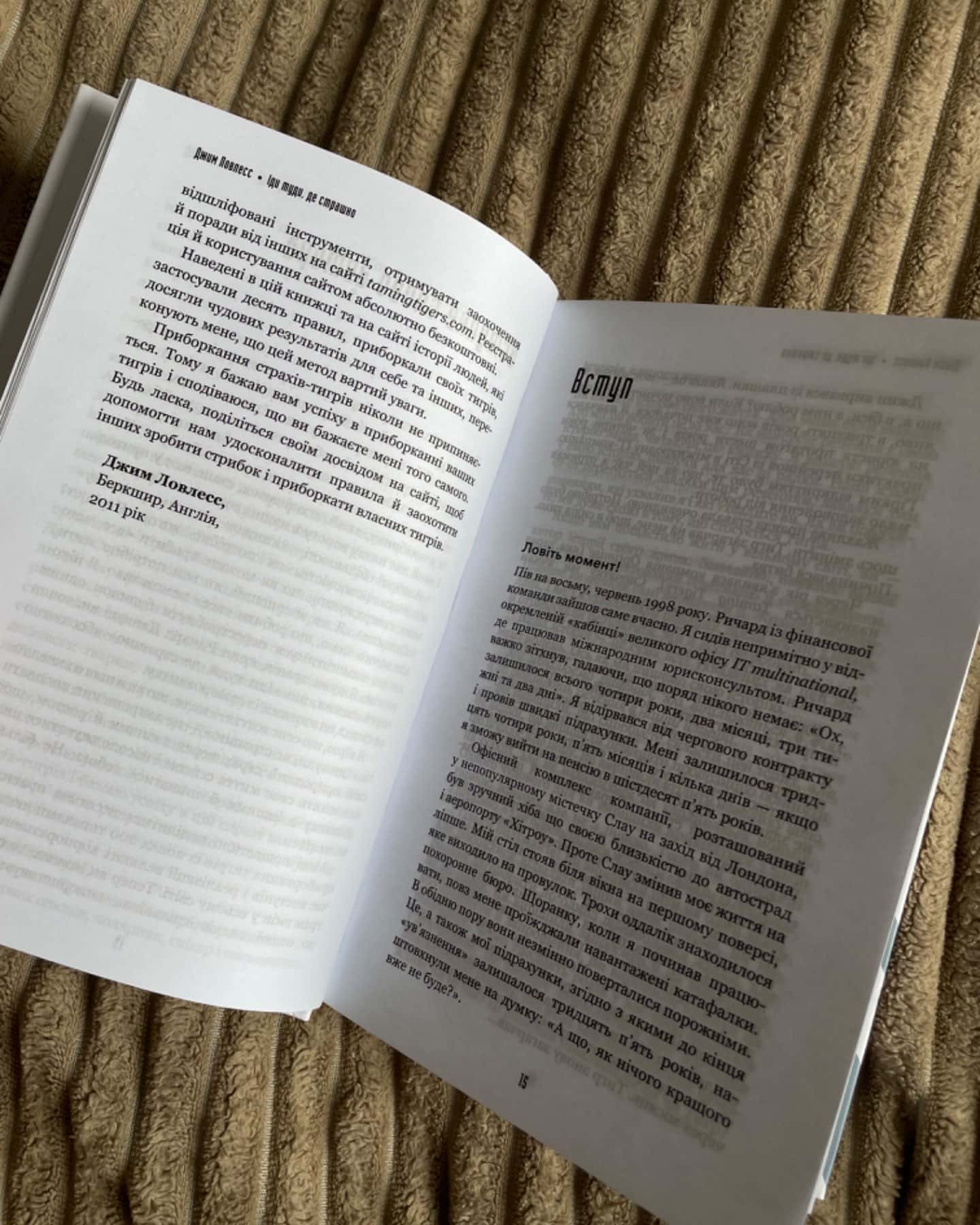 Іди туди, де страшно. І отримаєш те, про що мрієш-Джим Лоулесс