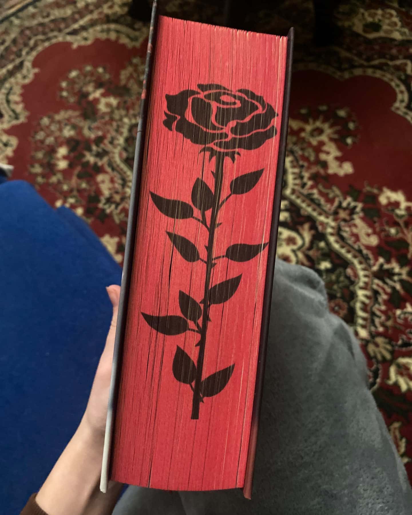 Із крові й попелу. Кров і попіл. Книга 1-Дженніфер Л. Арментраут