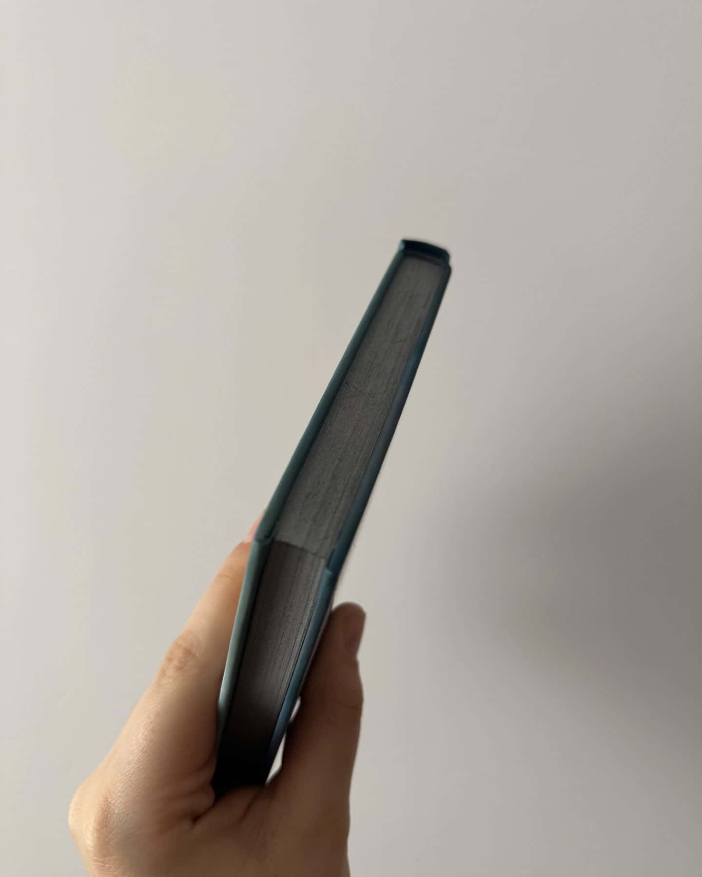 Знищ мене. Книга 1-Тагере Мафі