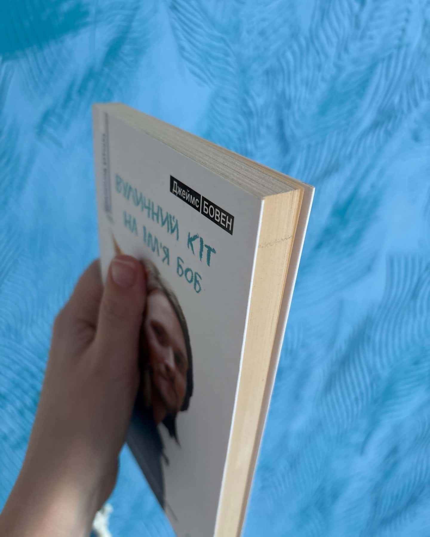 Вуличний кіт на імʼя боб-Джеймс Бовен