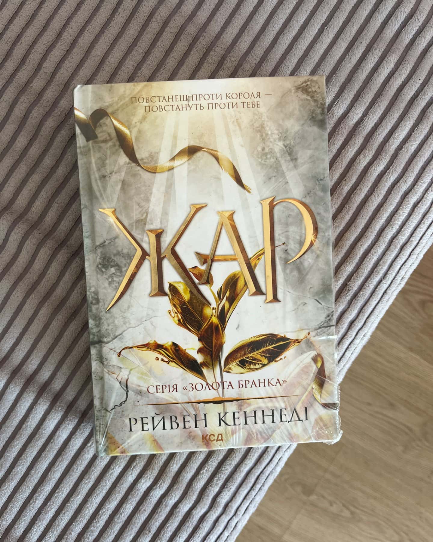 Жар. Книга 4-Рейвен Кеннеді