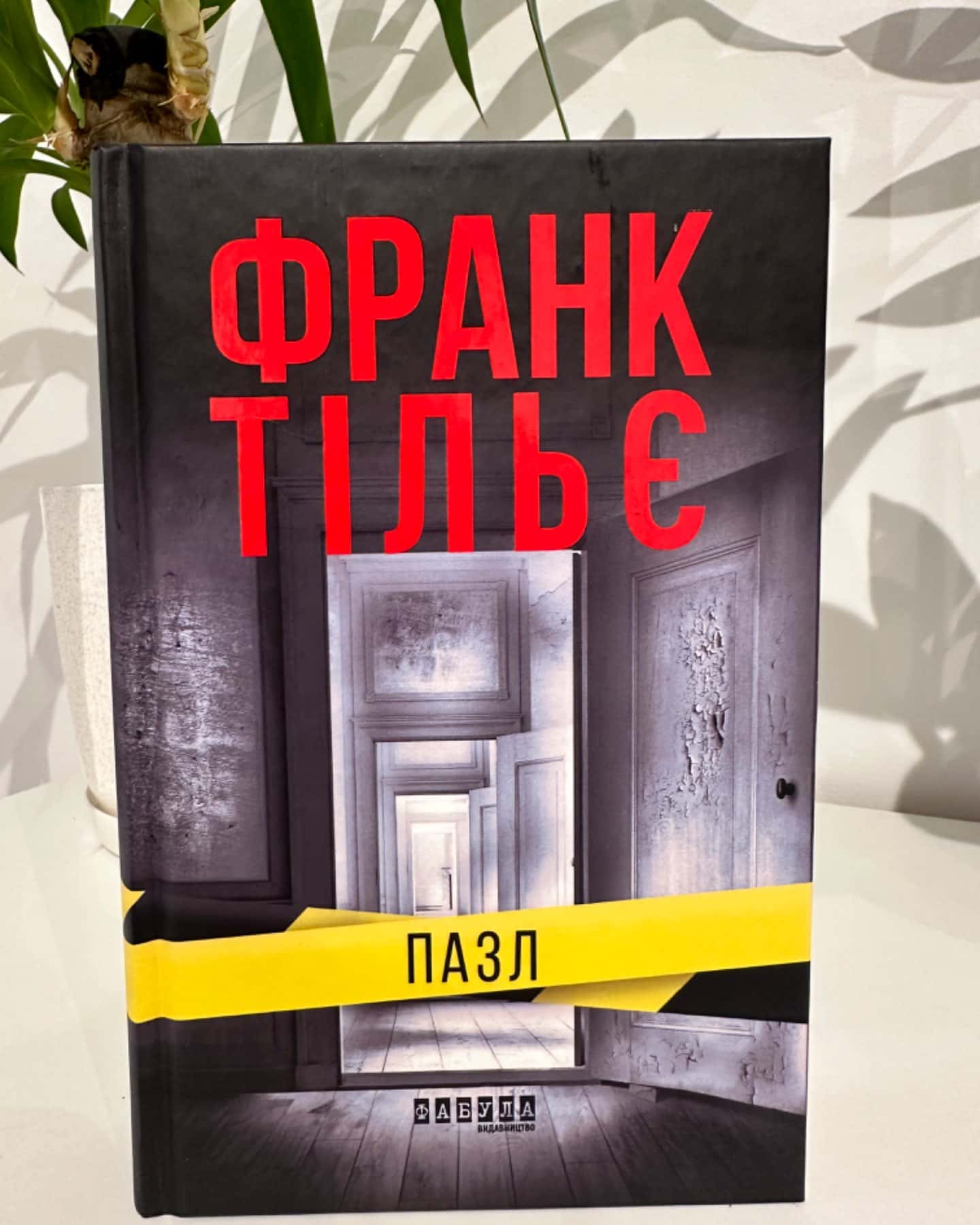 Пазл-Франк Тільє