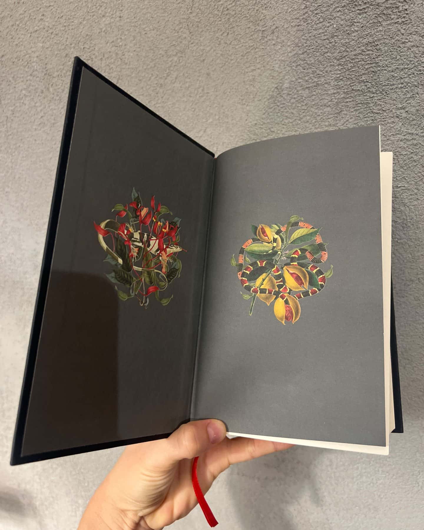 Природа всіх речей-Елізабет Ґілберт