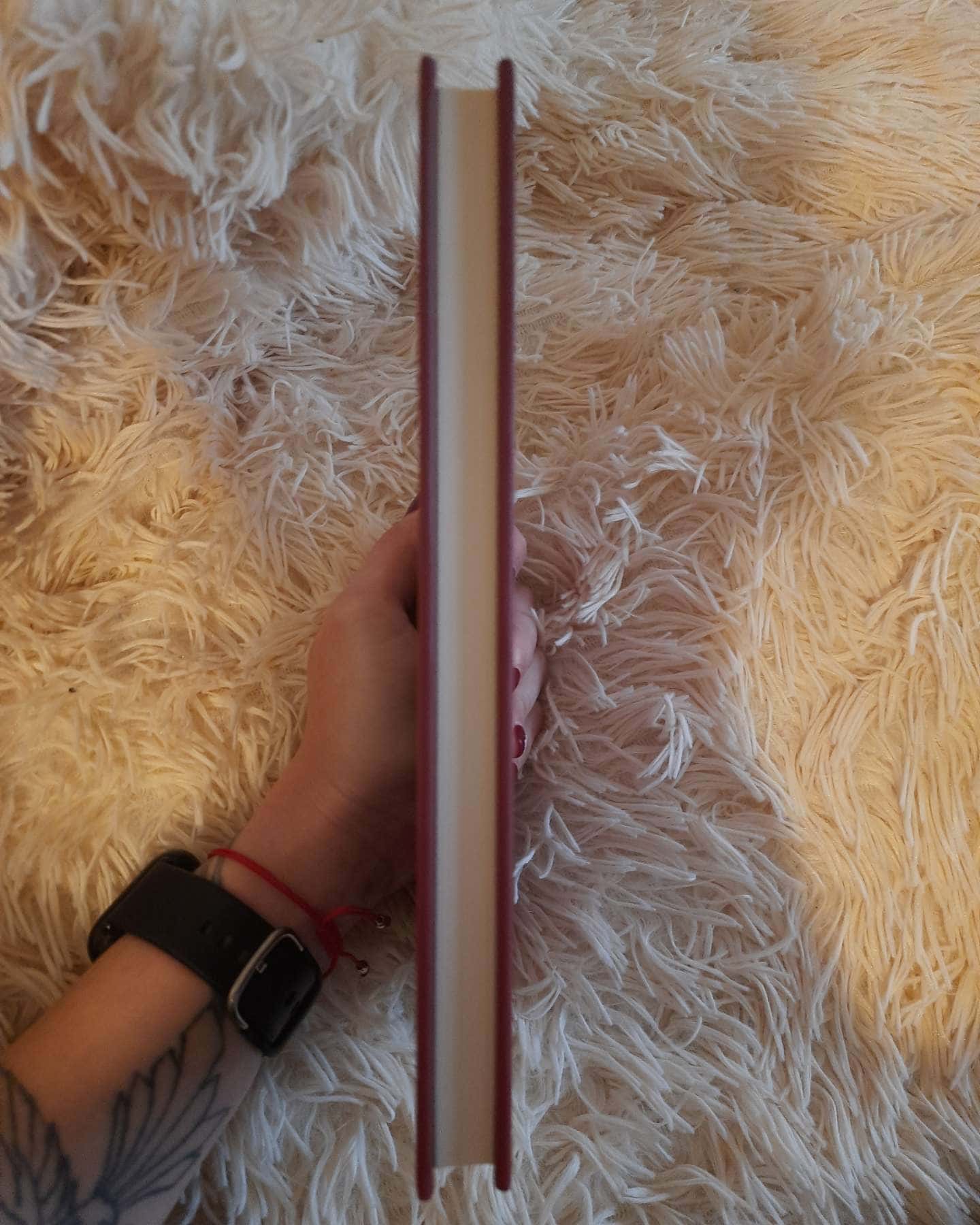 Клятвений солдат. Книга 2. Те, що бенкетує вночі-Т. Кінгфішер