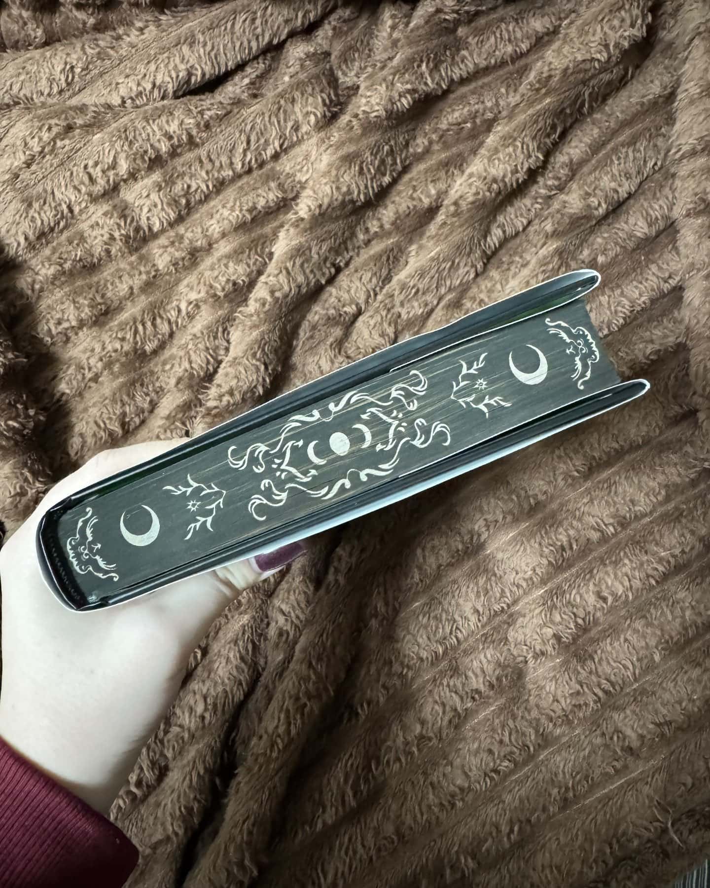 Книга ночі-Холлі Блек