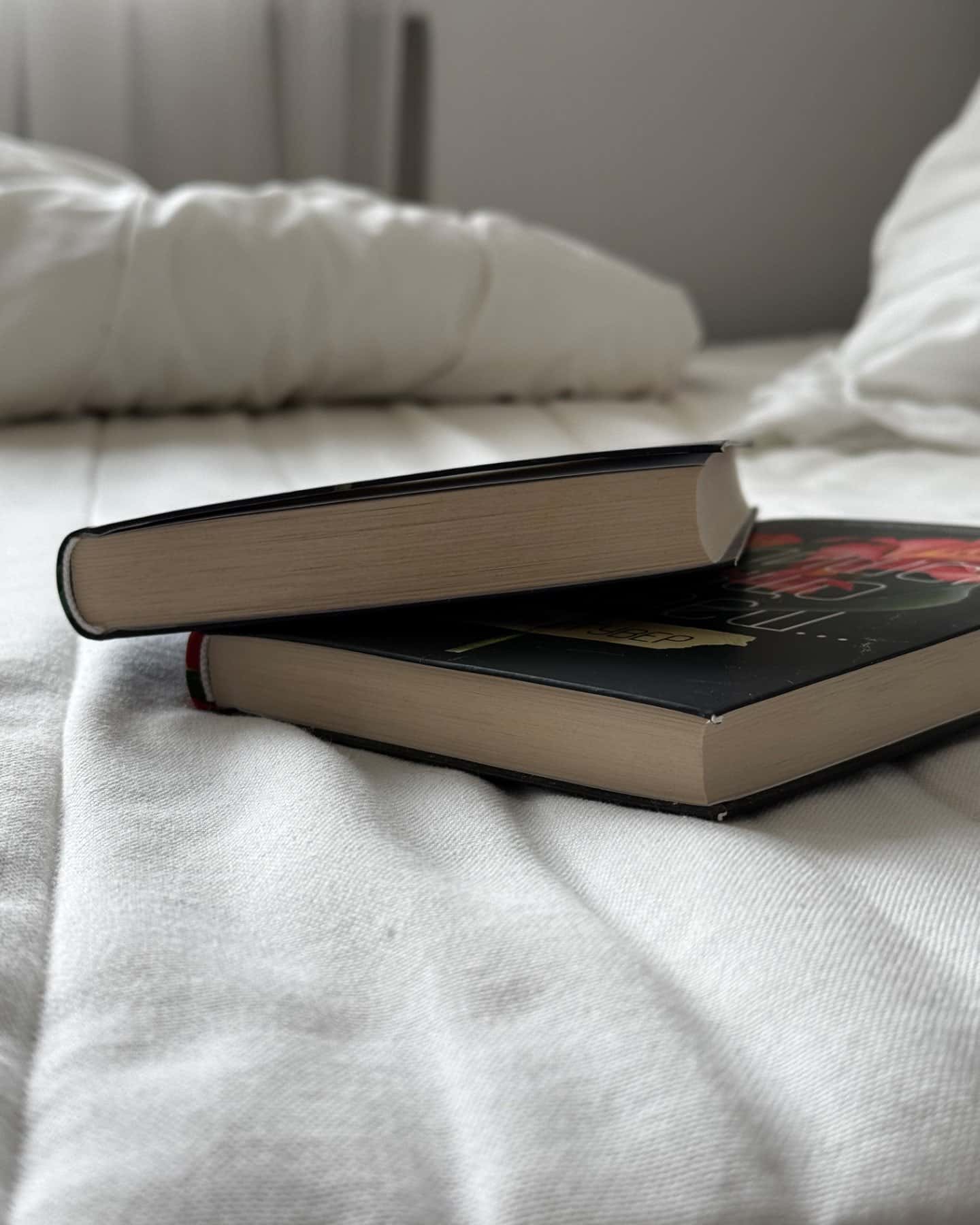 Залишся, якщо кохаєш…, Покинь, якщо кохаєш-Коллін Гувер