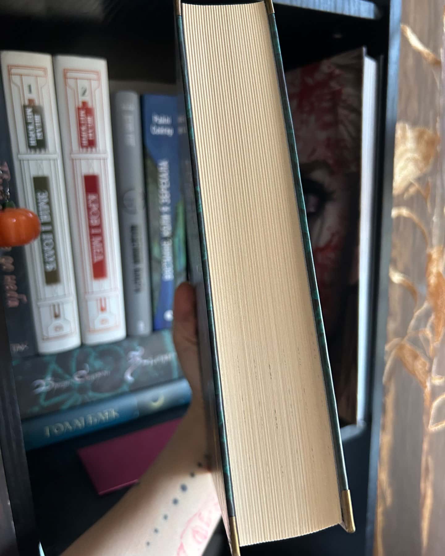 Незриме життя Адді Лярю-Вікторія Шваб