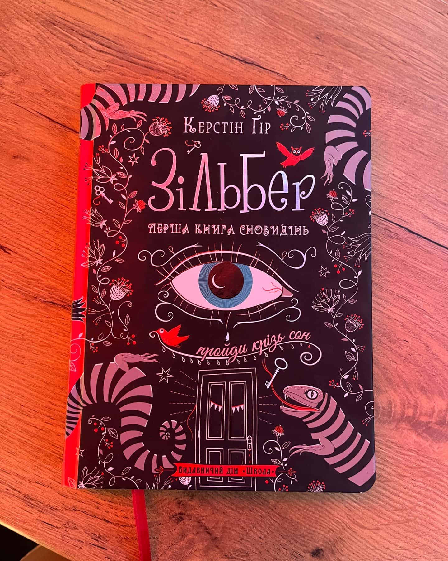 Зільбер. Перша книга сновидінь-Керстін Гір