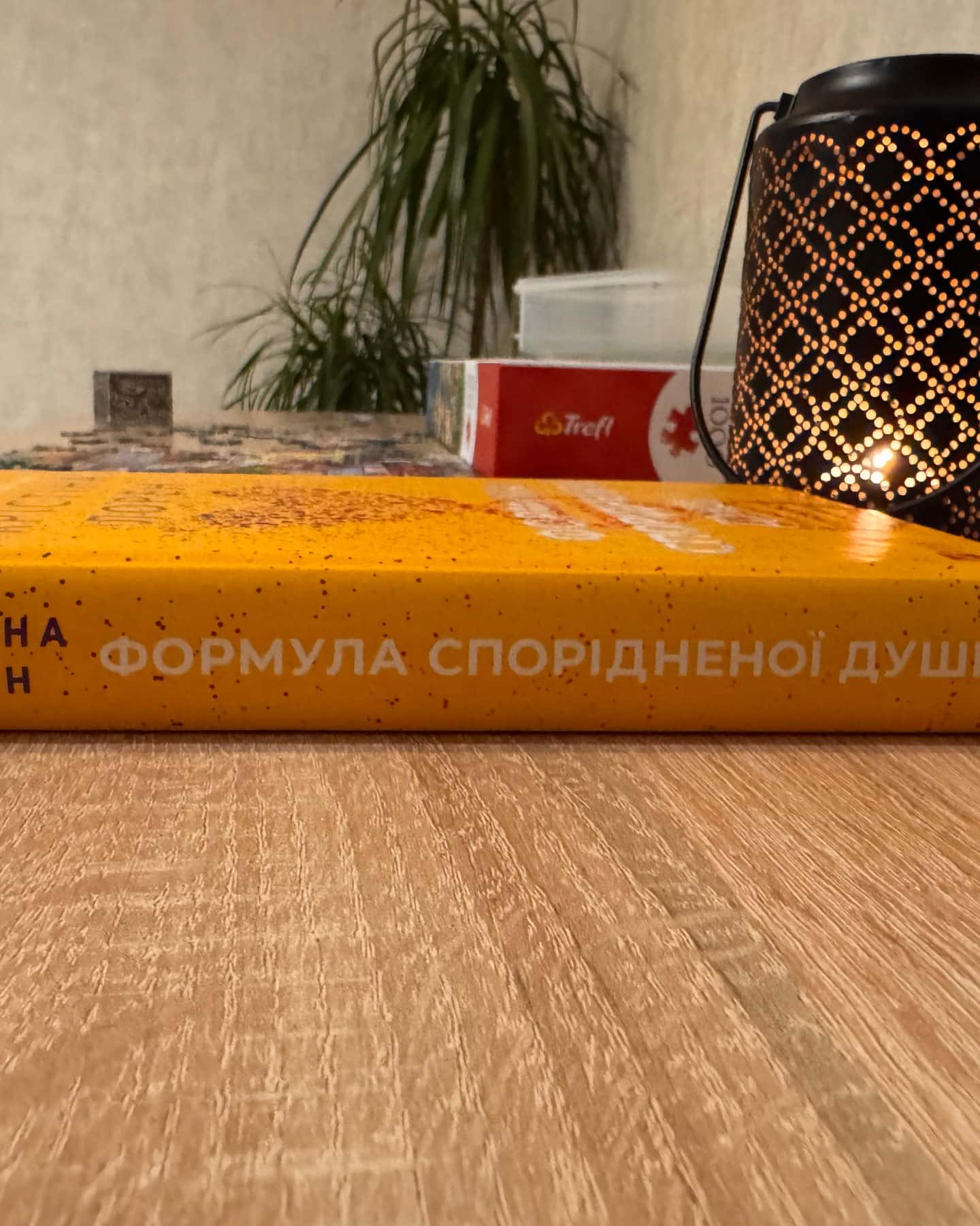 Формула спорідненої душі-Крістіна Лорен