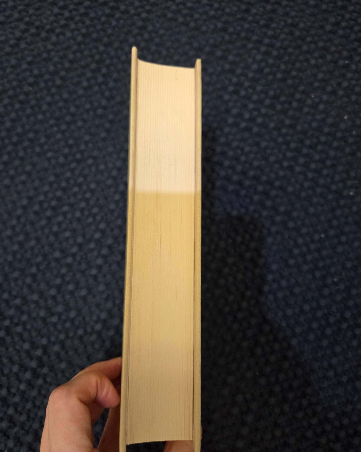 Наречена вітру-Юрій Винничук