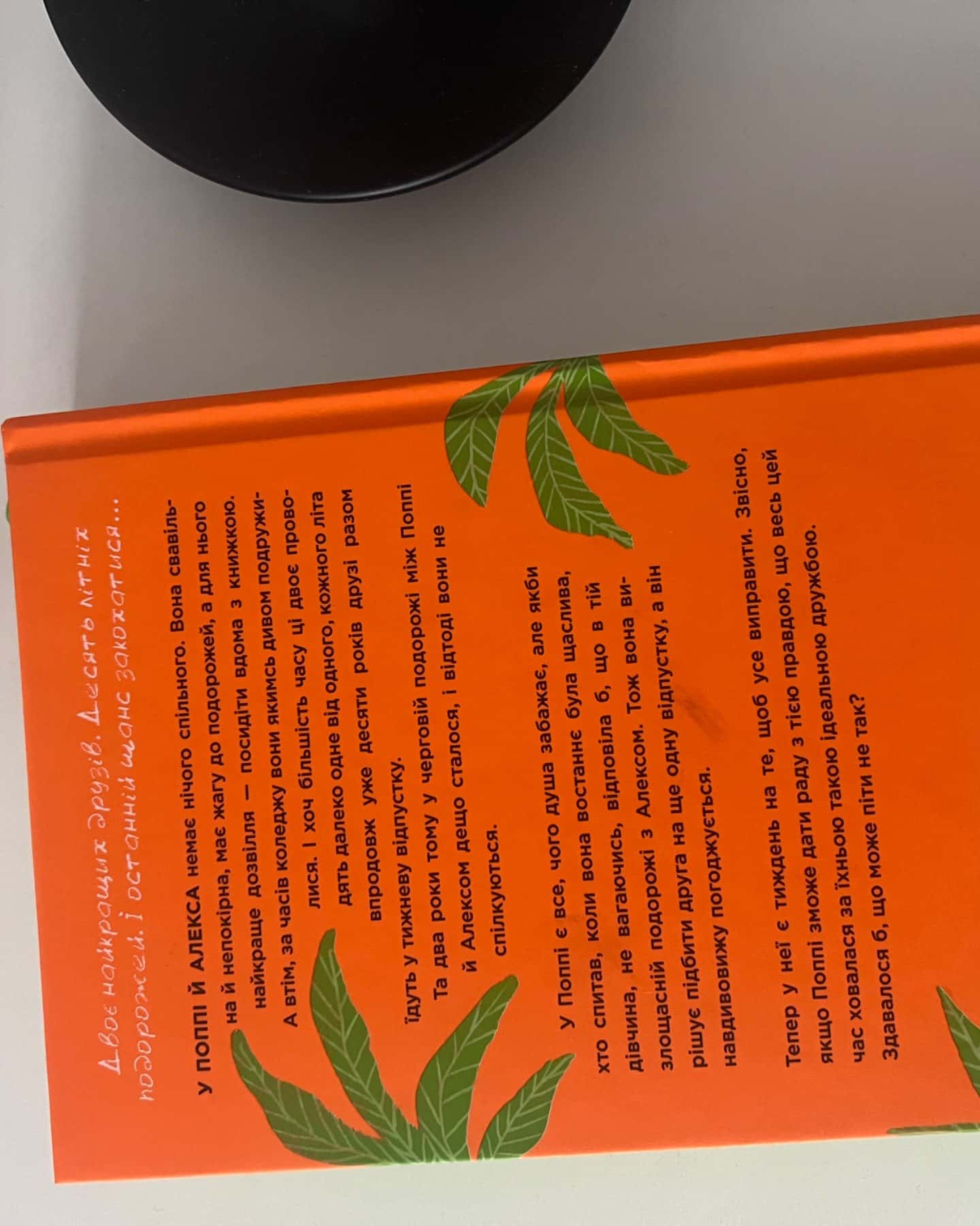 Люди, яких ми зустрічаємо у відпустці-Емілі Генрі