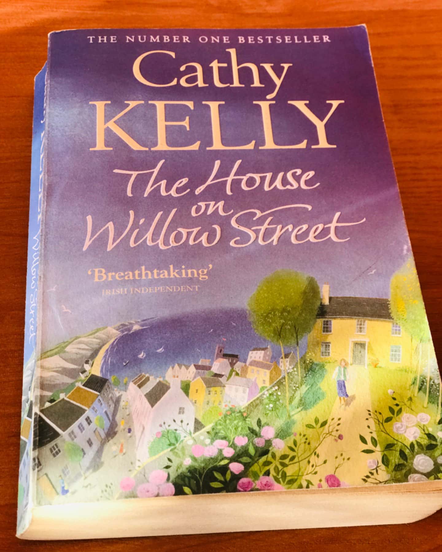 The house on Willow Street-Cathy Kelly