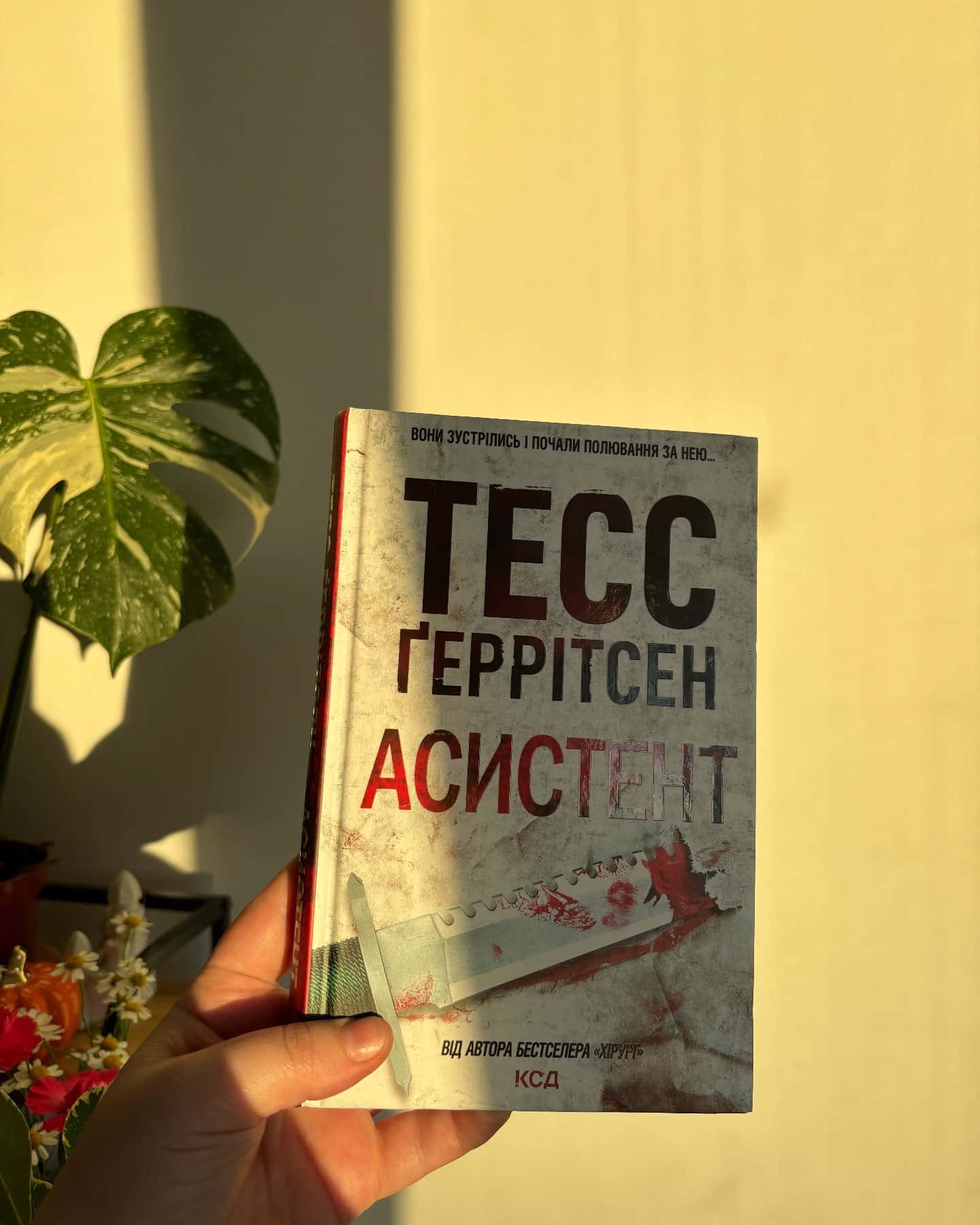 Асистент. Книга 2-Тесс Ґеррітсен