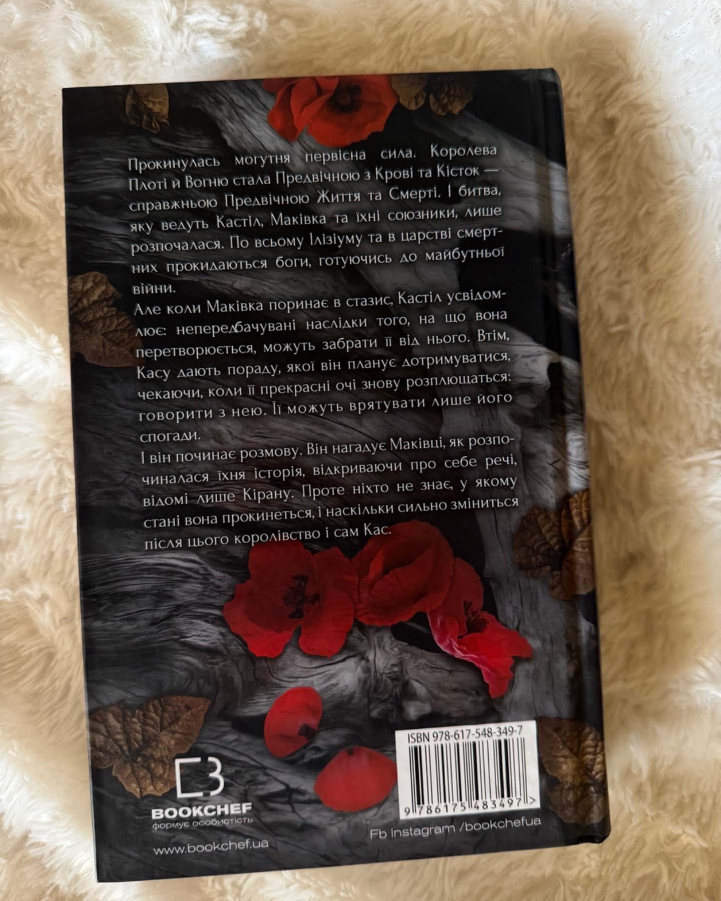 Кров і попіл. Книга 5. Душа з попелу та крові-Дженніфер Л. Арментраут