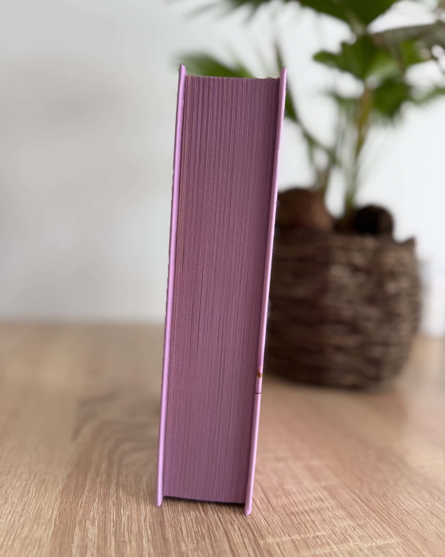 Усе, що ми забули-Люсі Скор