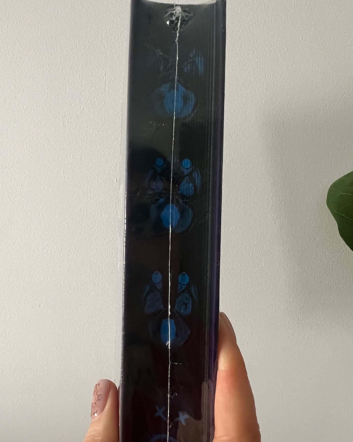 Не достоту мертва-Голлі Джексон