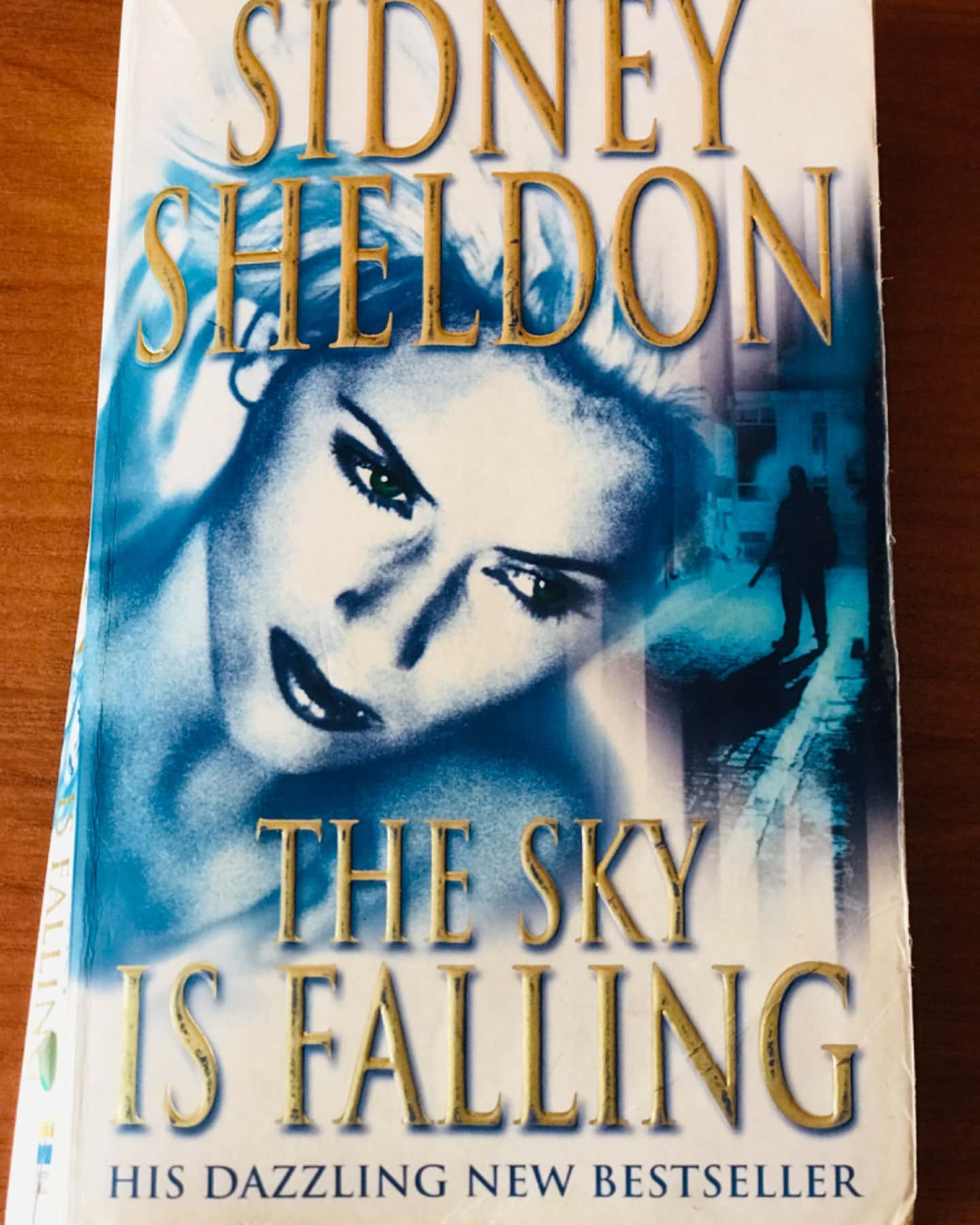 The sky is falling-Sidney Sheldon