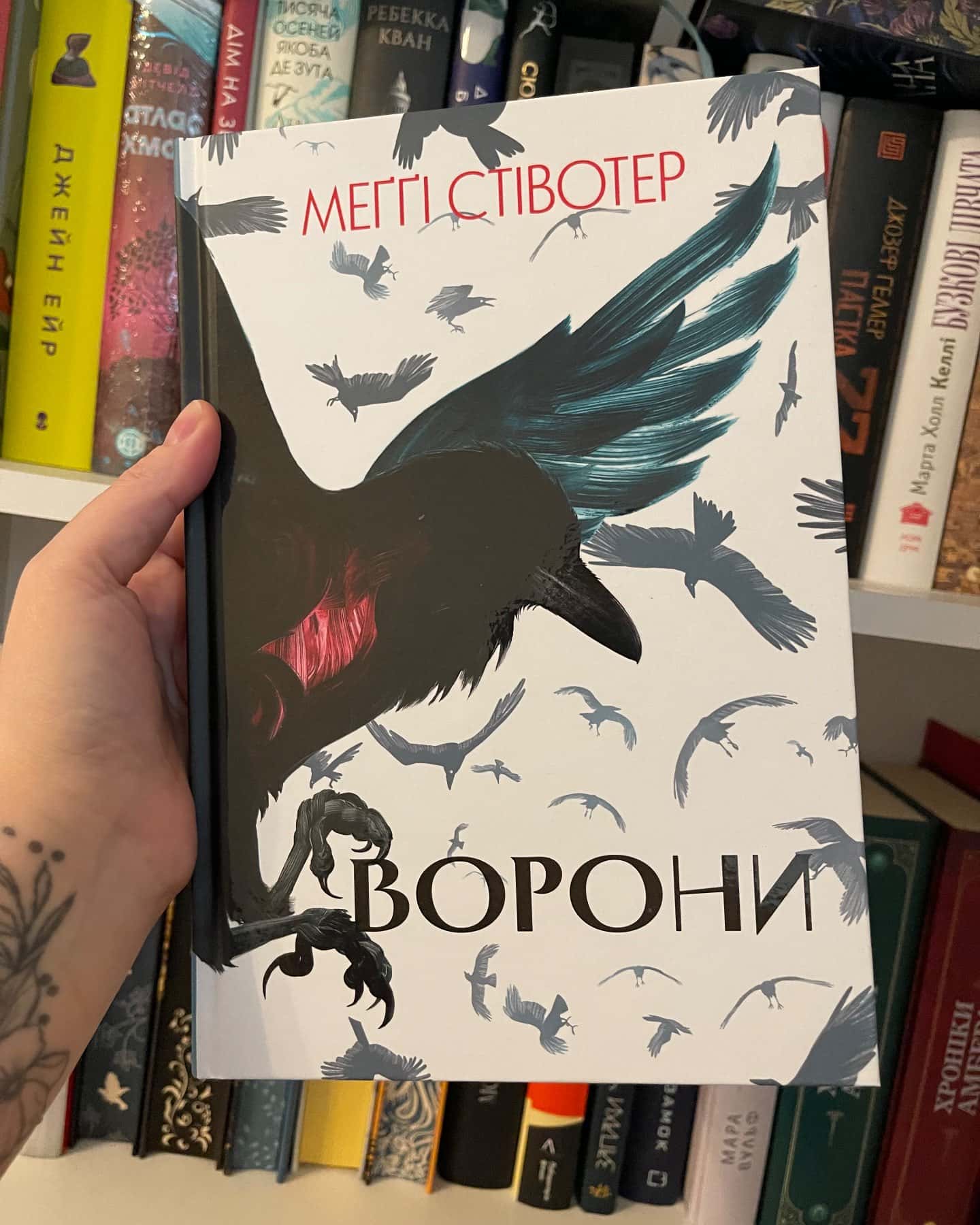 Ворони-Меггі Стівотер