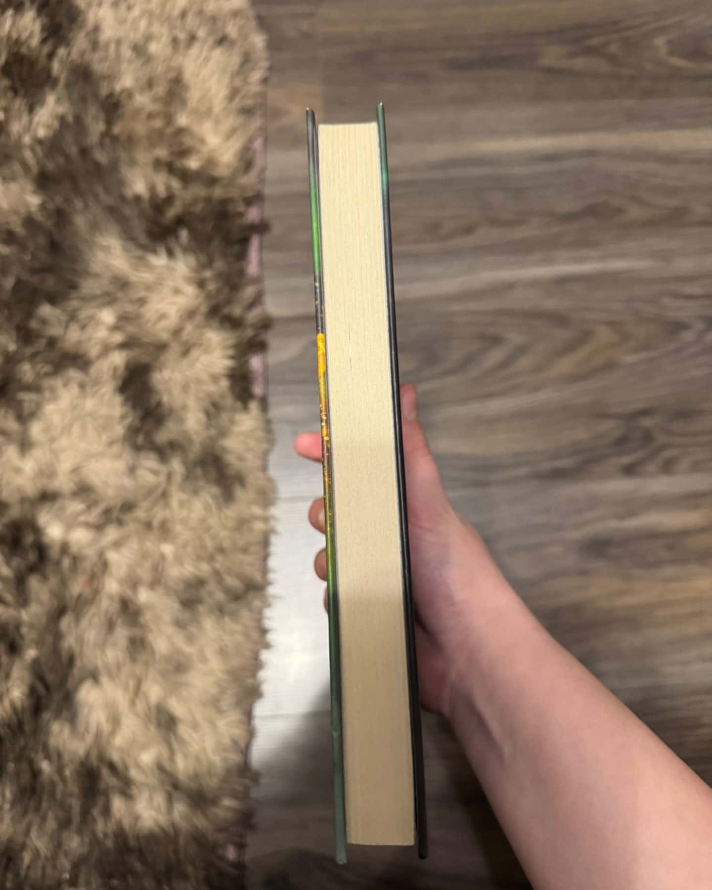 Руїна та відновлення. Книга 3-Лі Бардуго