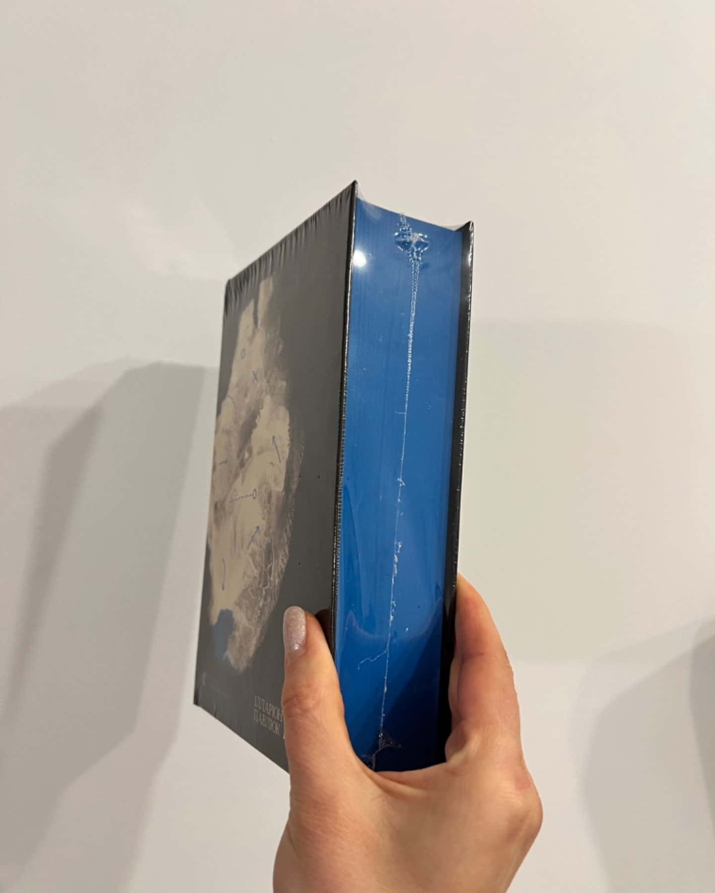 Книга Еміля-Ілларіон Павлюк