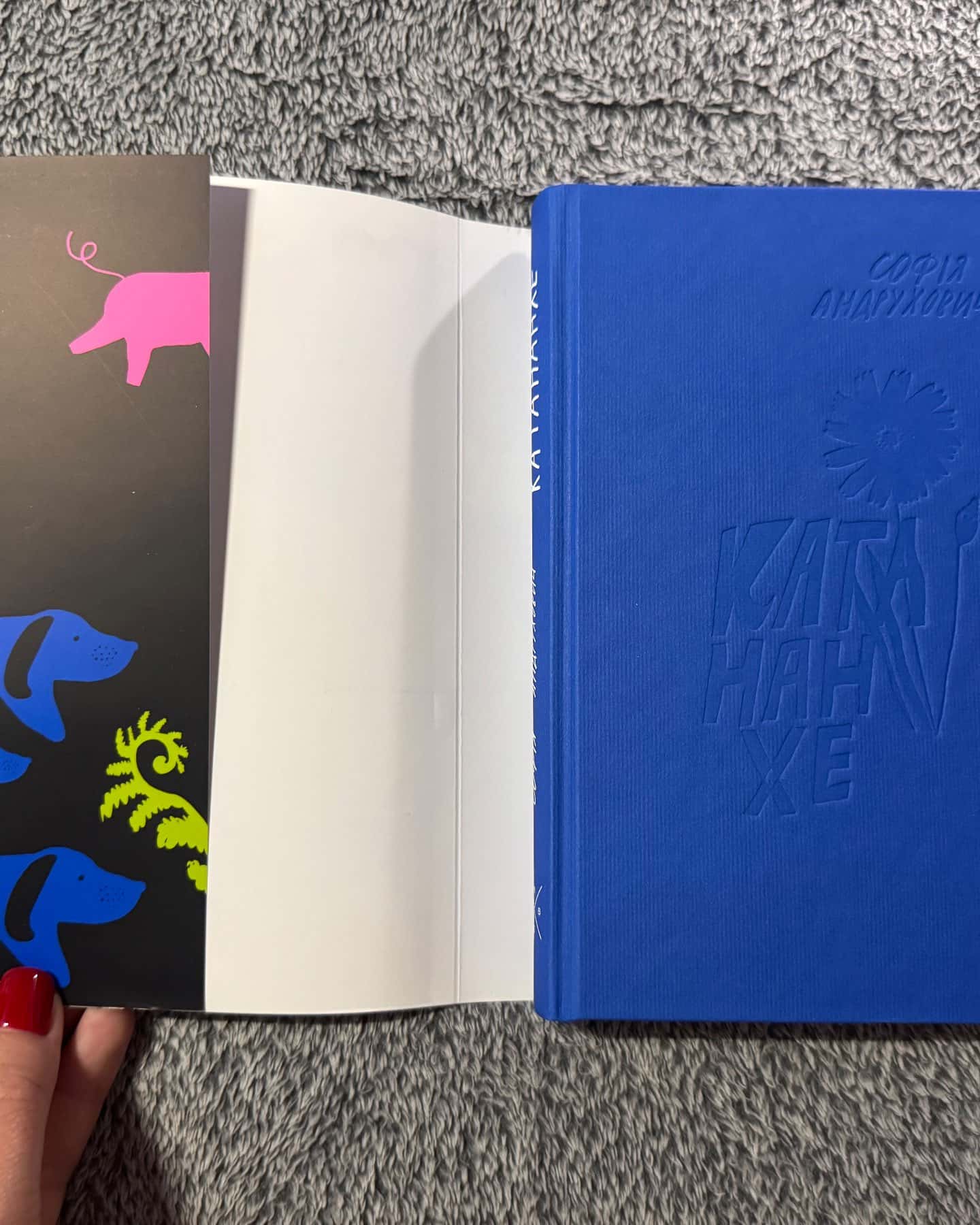 Катананхе-Софія Андрухович