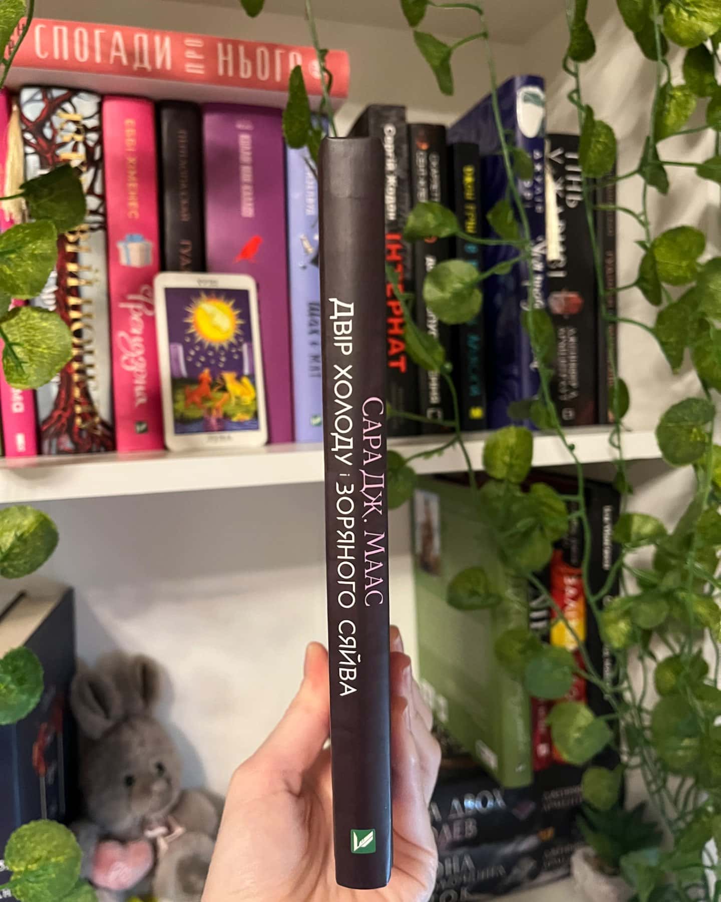 Двір холоду і зоряного сяйва-Сара Маас