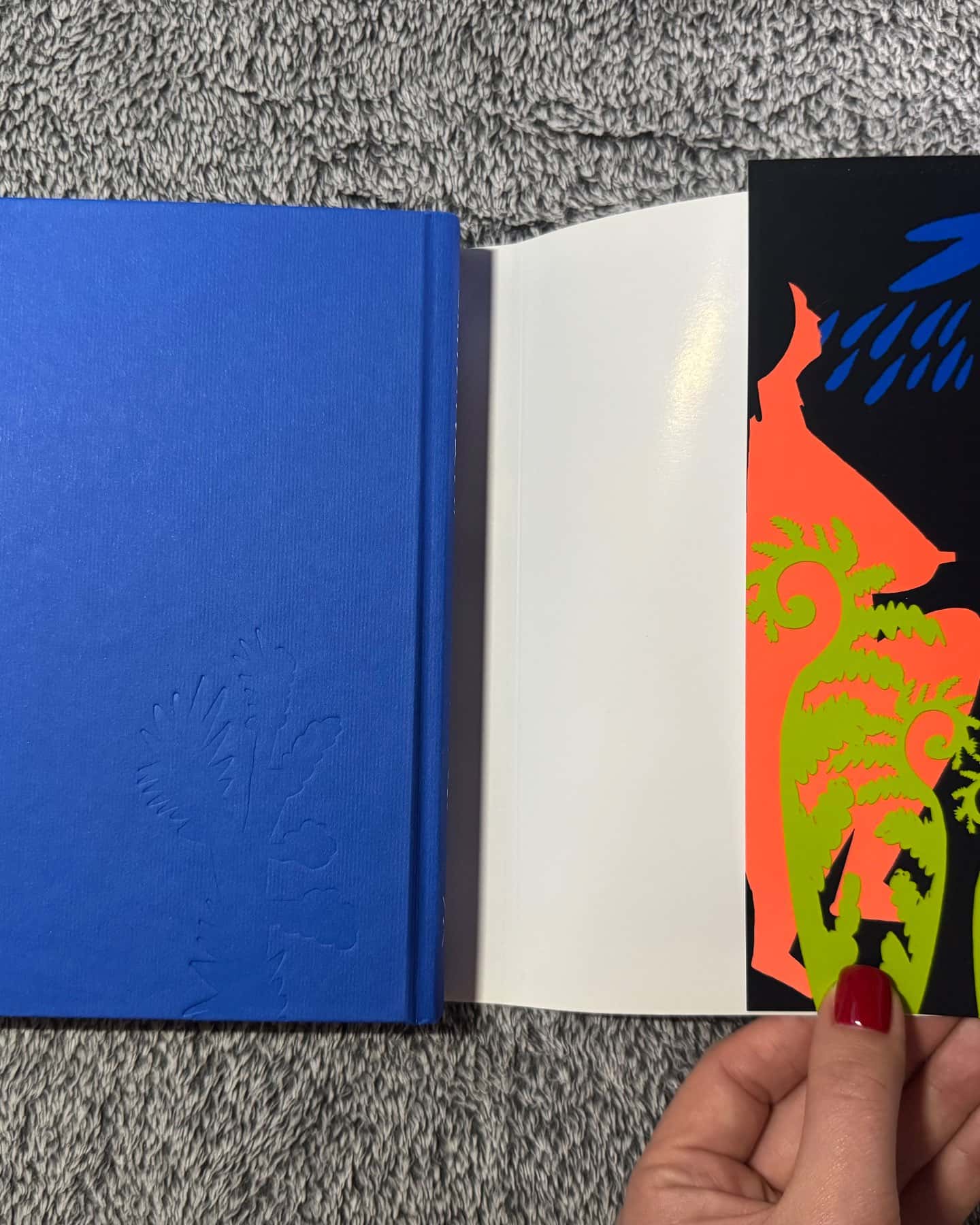 Катананхе-Софія Андрухович