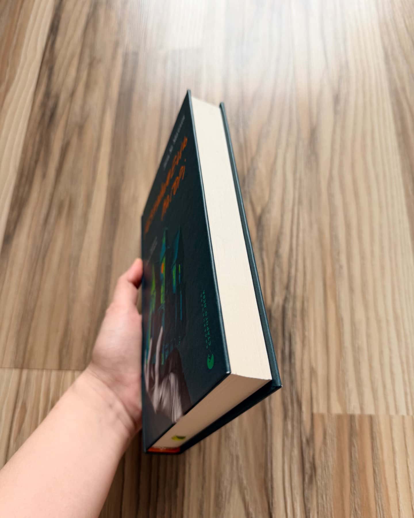 Незнайомець нагорі-Ліза М. Матлін