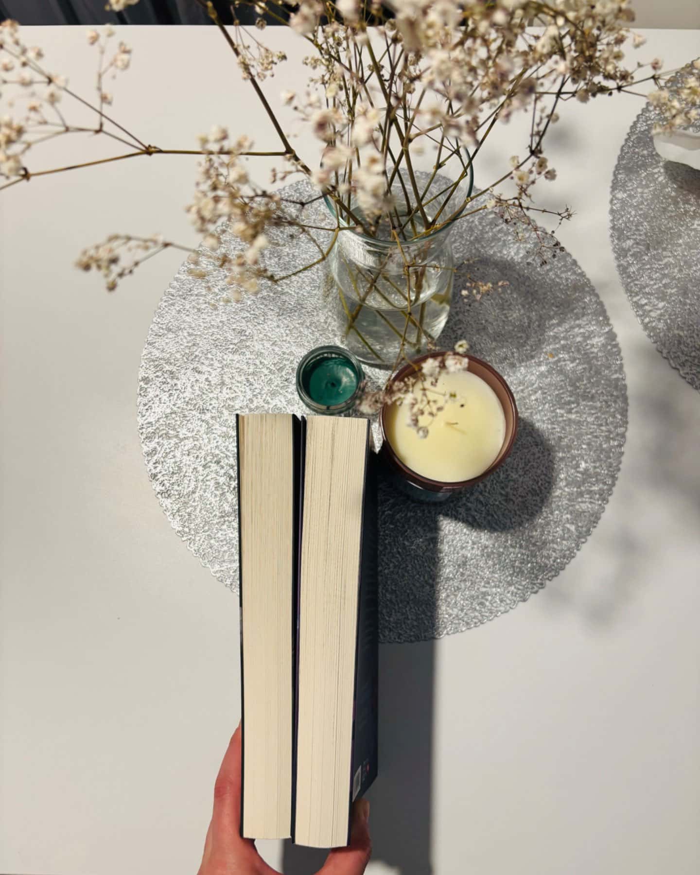 Попіл лине до неба. Том 1, Попіл лине до неба. Том 2-Матьє Ґібе, Нін Ґорман