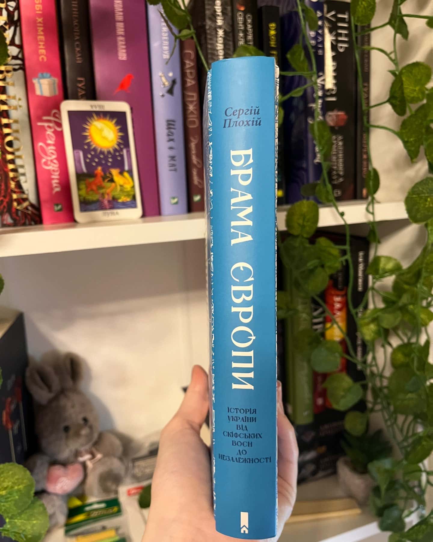 Брама Європи. Історія України від скіфських воєн до незалежності-Сергій Плохій