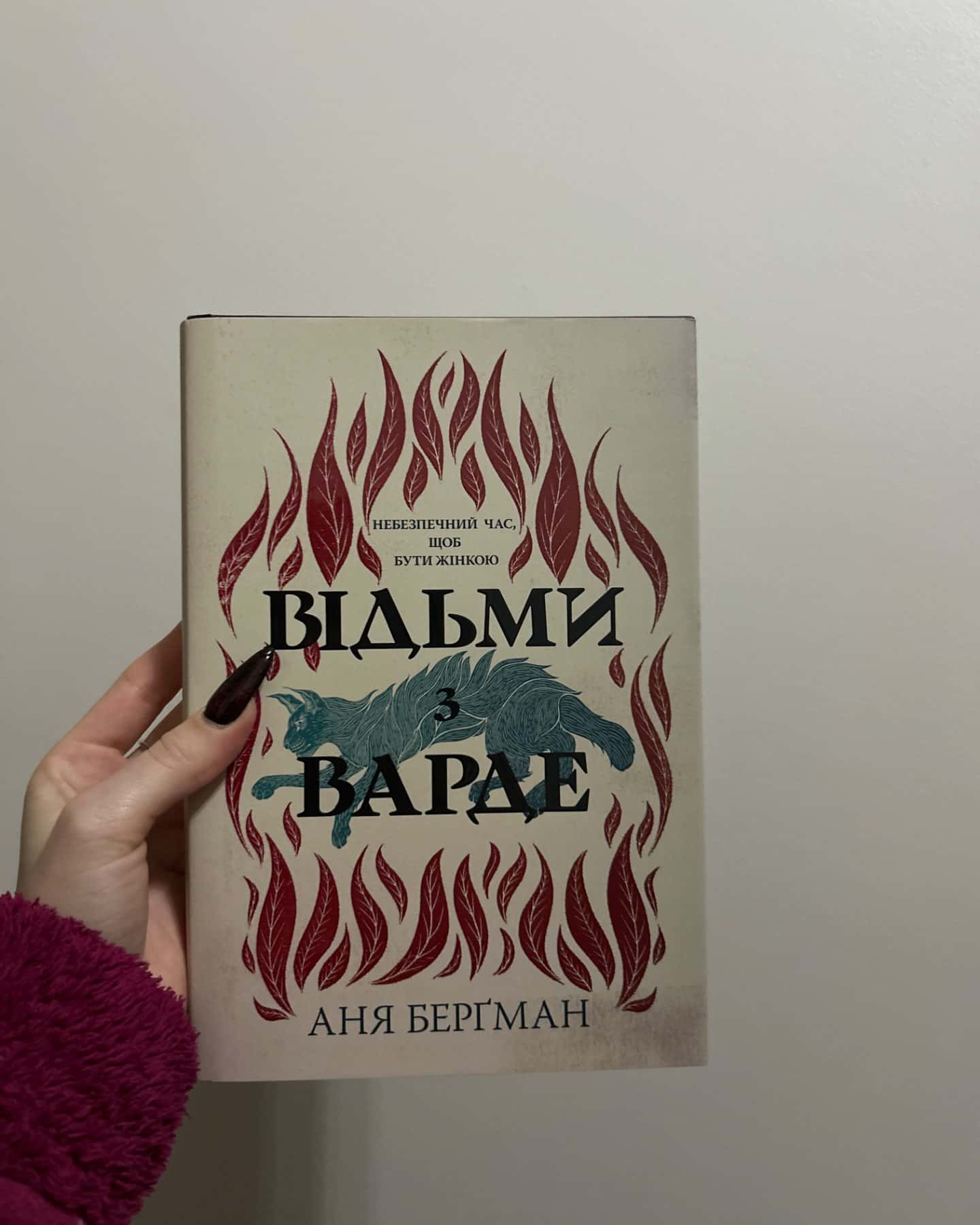 Відьми з Варде-Аня Бергман