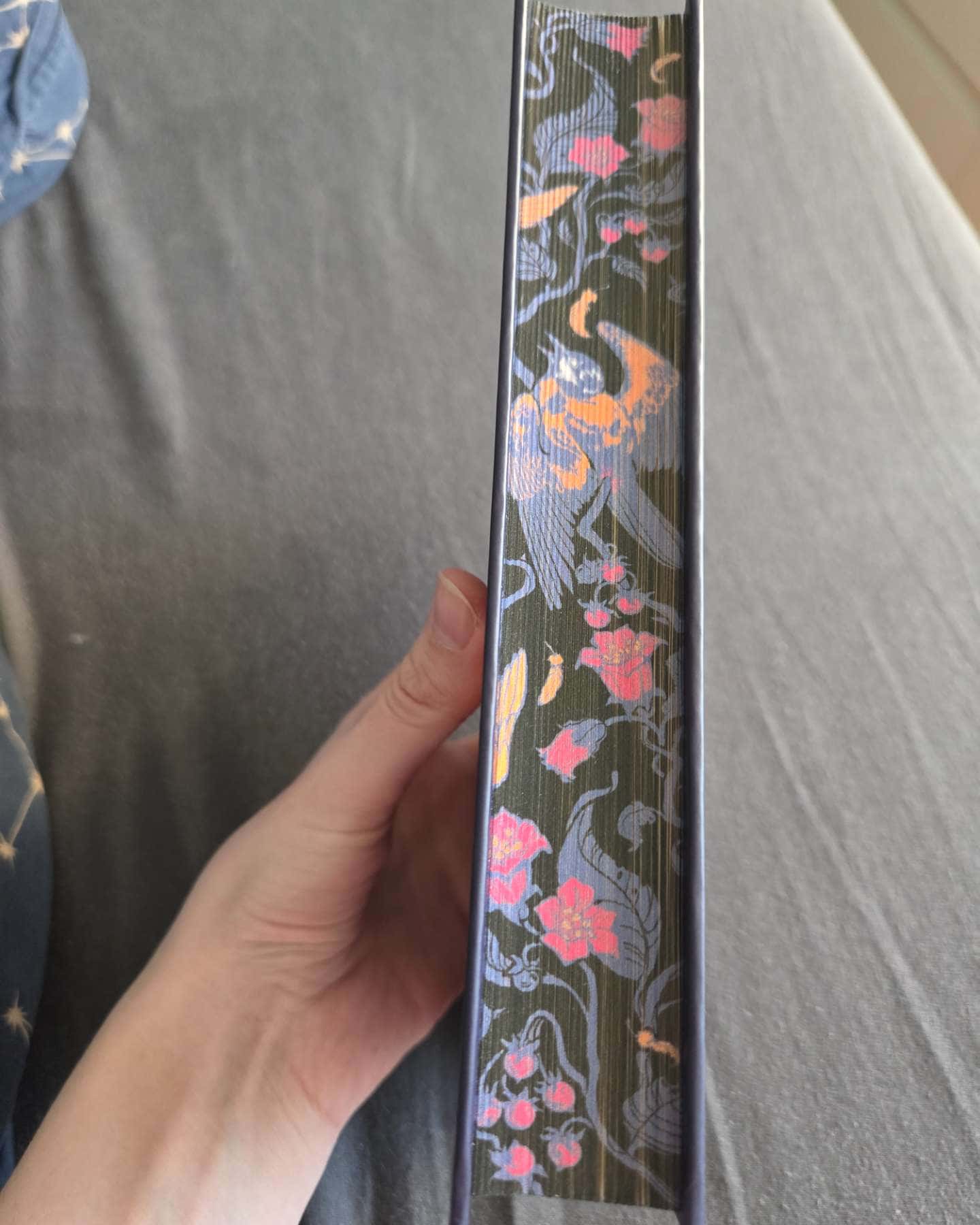 Беладона-Адалін Грейс