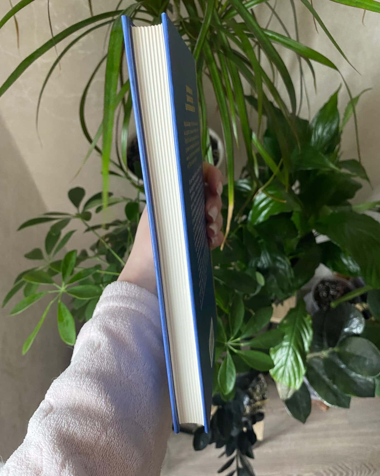 Тайм боксинг-Марк Зао-Сандерс