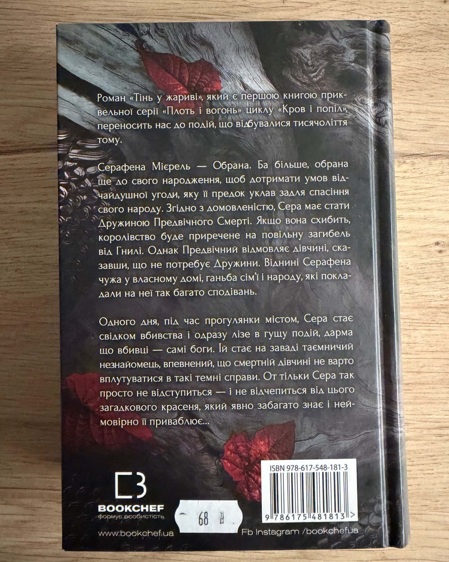 Тінь у жариві. Плоть і вогонь. Книга 1-Дженніфер Л. Арментраут