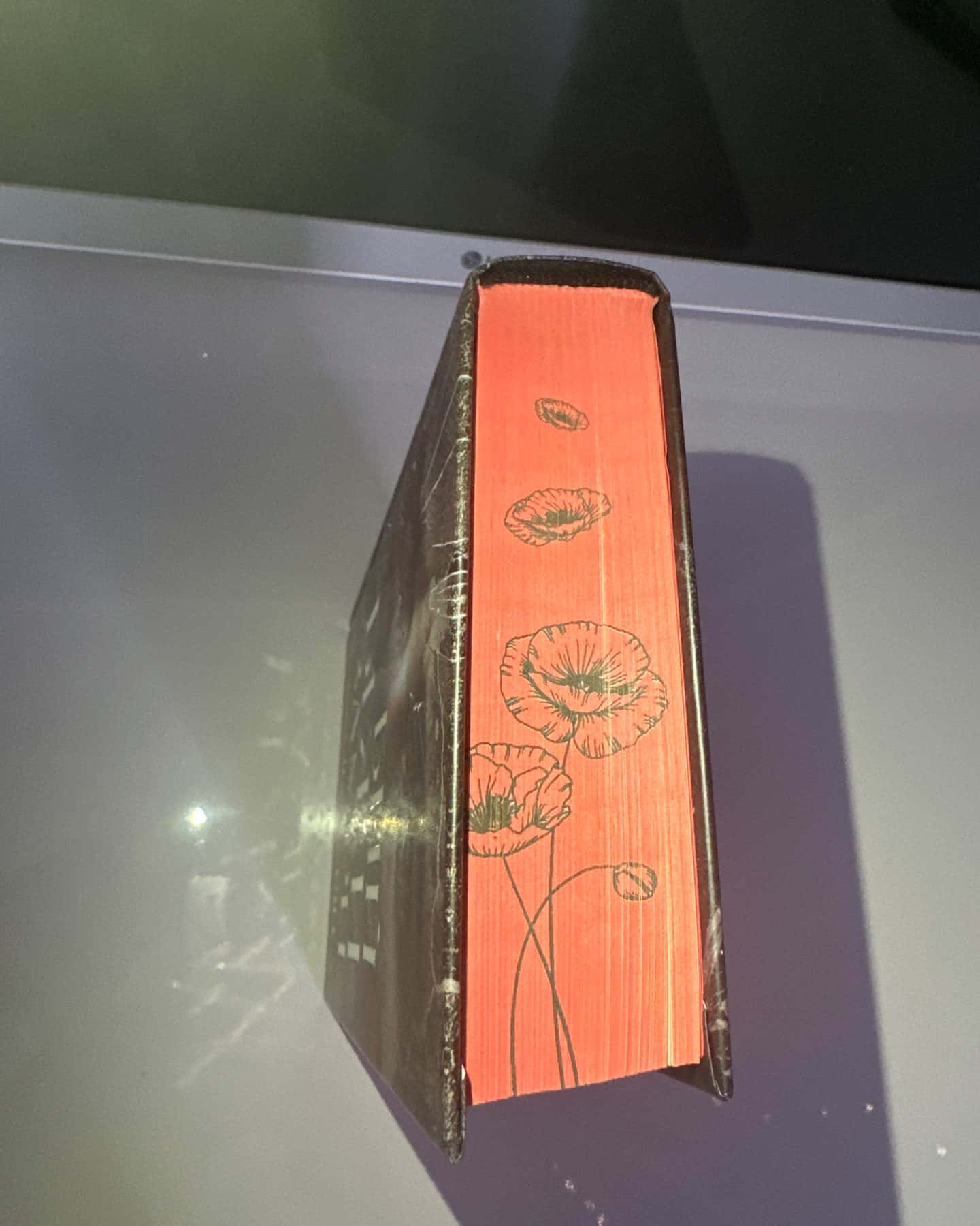 Бий. Біжи. Замри-Каміла Грін